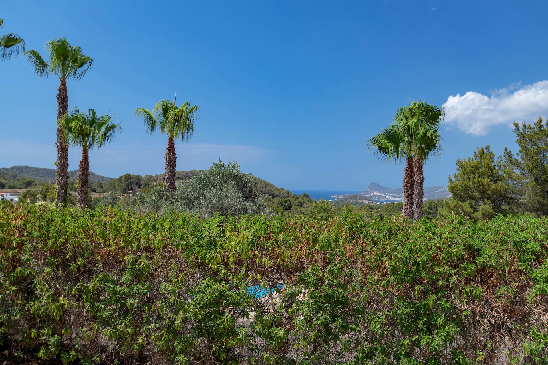 Resa Estates Ibiza te koop san Jose for sale 7 bedrooms apartment views.jpg